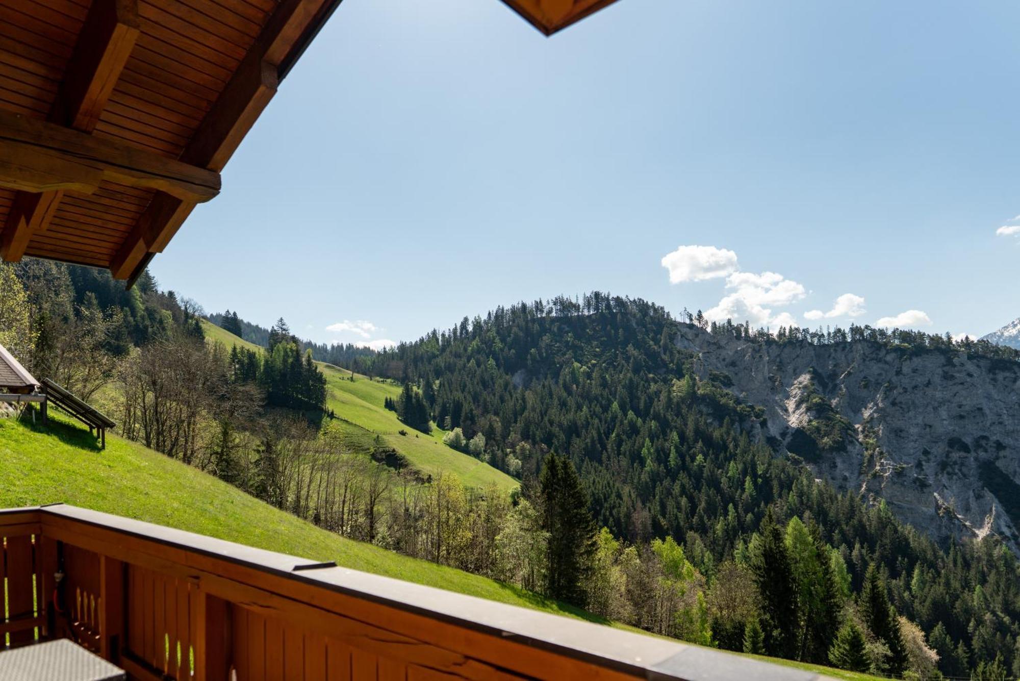 Pension Bergbauernhof Irxner Pichl-Preunegg Exterior photo